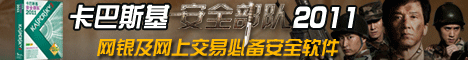 卡巴斯基2010
